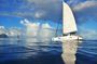 Black River: Full day Private catamaran to Benitiers island