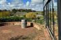 McLaren Vale Wine Experience- Cruise Ship Pickups