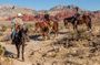 2-Hour Horseback Riding through Red Rock Canyon