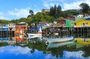 5-Day Tour Chile & North Patagonia
