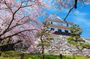 Kyoto Osaka to Lake Biwa Private Day Tour