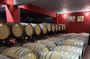 Private Full Day Tour to Nemea Wineries from Attica