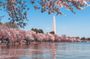 Reflections on a Nation Self-Guided National Mall Highlights Tour