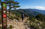 Private Troodos Hiking Experience from Pafos – Up to 4 Guests