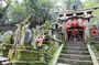 Fukuoka Sacred Sites Experience with Private AC Car and Guide