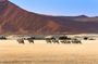 10 Days Namibia key highlights Lodging