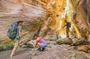 Minibus Safari: Avakas Gorge Lara Beach Sea Caves and Edro III.