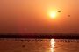 Morning Boat Tour followed by a short heritage walking tour in VARANASI