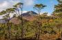 Meandering Through The Highlands of Scotland (West)