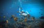 Private Snorkeling Manta Point & Land Tour, Start at Nusa Penida