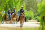 Puerto Vallarta Ocean Expedition: Horseback Ride, Waterfall & BBQ