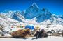 Everest Base Camp Trek 14 days With Expedia Holiday