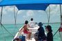 Private Snorkeling in Hol Chan Marine Reserve and Shark Ray Alley