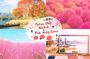 Nari Park, Pocheon Valley and Herb Island Day Tour from Seoul