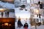 Ranua Lupland Activity Park Entry with Reindeer Experience