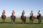 Polo Match, BBQ and Lesson Day-Trip from Buenos Aires