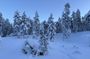 Private Snowshoeing Tour In Luosto With Outdoor Meal