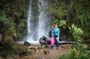 Cloud Forest & Waterfalls Half-Day Hike
