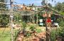 1 Day Land Tour Phu Quoc Northern and Kayaking