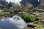 Private Tour of the Royal Botanic Garden Edinburgh