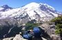 Guided hike on Mt. Rainier - old forest, falls and glacier views