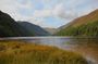 Private Day Trip from Dublin to Wicklow & Glendalough