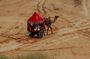 Pushkar City Tour With Camel Safari Lunch and Guide