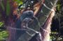 3 Days 2 Nights Ethical Jungle Trekking