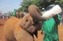 Nairobi Highlights Shared Day Tour by 4WD