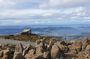 Mount Wellington Pinnacle 2 Hours Small Group Tour