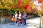 Slow Cycling Tour at Uji's Matcha Green Tea Fields and Heritage