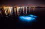 Luminous Lagoon Tour from Montego Bay