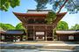Tokyo: Meiji Shrine & Shinto Culture Walking Tour