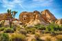 Joshua Tree's Hidden Valley Self-Guided Walking Tour