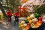 Bento and Bicycle Tour of Hidden Kyoto with Local Guides