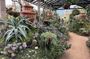 South Shore and Vallarta Botanical Garden Private Tour