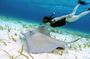 El Cielo Cozumel by Private Boat