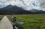 Beppu Luxury Nature Escape: Highland Walk Sky Bridge and Yufuin