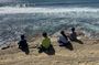 The Private Point Loma Tide Pool Tour