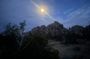 Starlight Hike in Joshua Tree National Park
