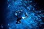 Freediving experience for beginners in Malta Island
