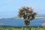 Ring of Kerry Private Tour