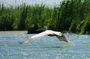 4 Days in the Heart of Danube Delta