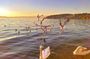 Ohrid and Tirana tour in 2 days (with overnight in Ohrid) from Skopje