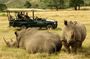 3 Day Garden Route Highlights and Safari with Private Transfers