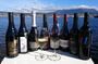 Coal River Valley Wine Tour