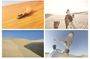 Desert Safari and Inland Sea(Private Tour)