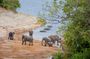 15 Day Victoria Falls, Okavango Delta to Windhoek Adventure