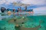 Full-Day Bora Bora Experience with Lunch on Motu Fanfan
