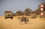 9 Day Etosha, Skeleton Coast & Sossusvlei Camping & Lodge Safari